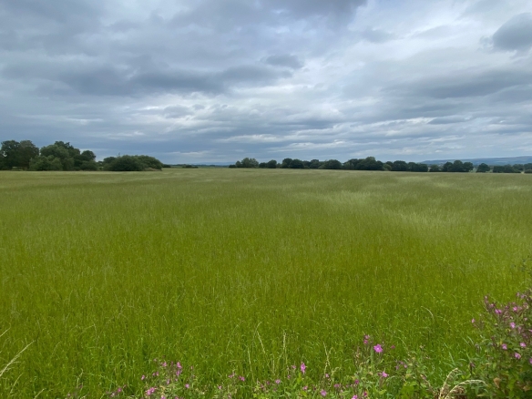 NOW LET   29.92 acres of Land  at Coppull Moor Lane, Coppull,nr Chorley PR7 5JA